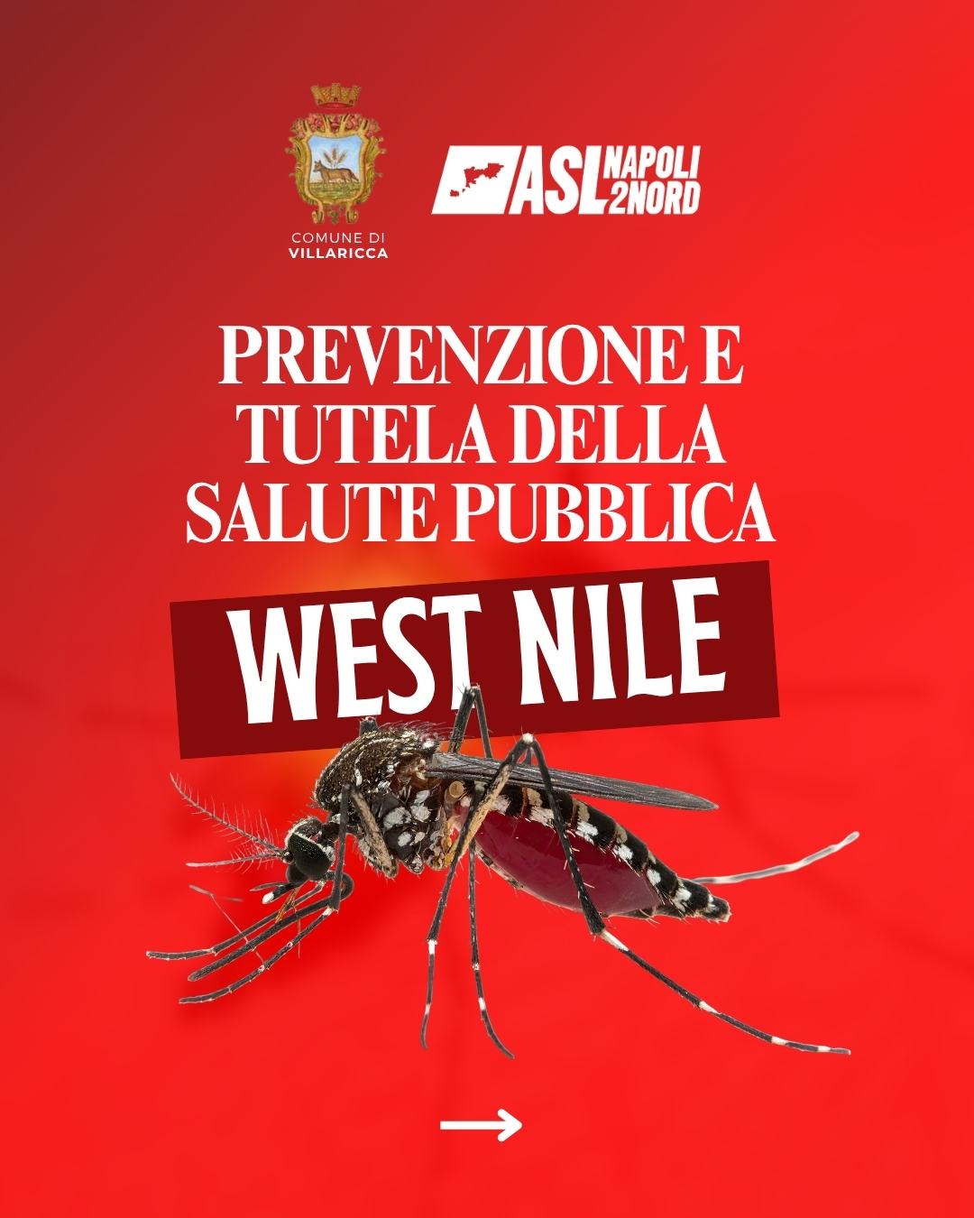 Prevenzione e Tutela della Salute Pubblica : West Nile 